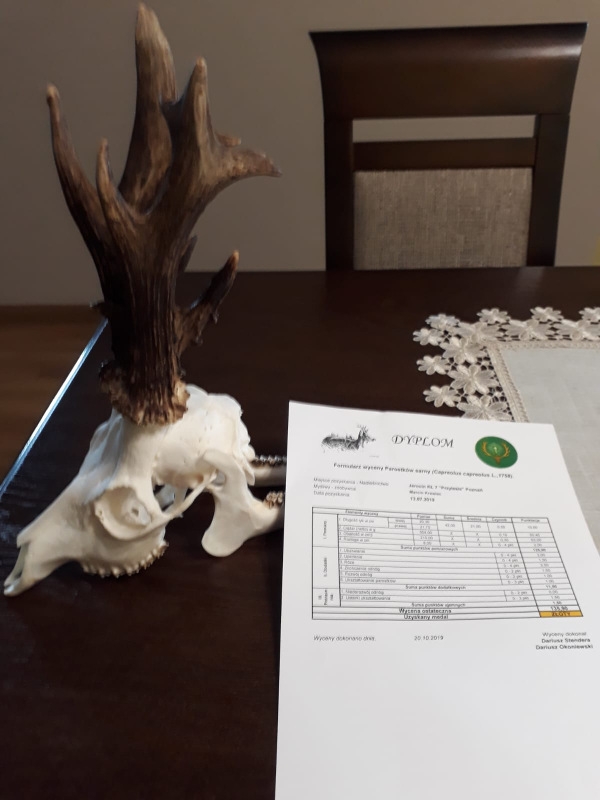 IMG-20191020-WA0004