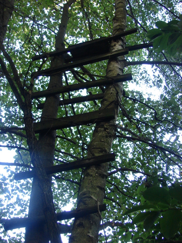 DSC00719