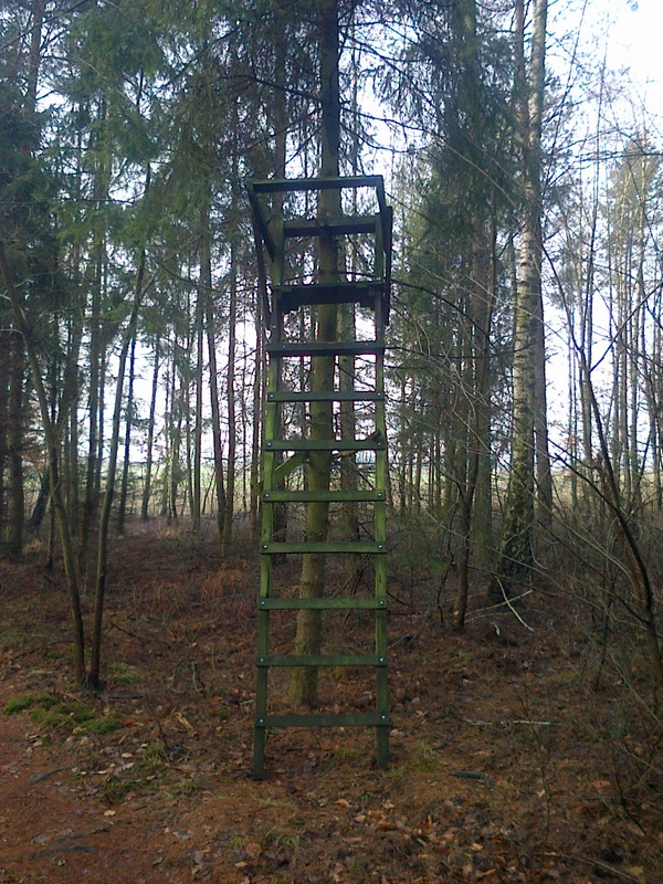 IMG-20150315-00503