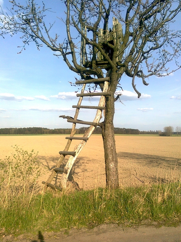 Zdjęcie0236