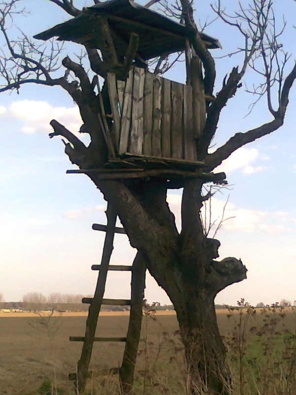 Zdjęcie0239