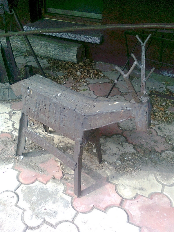 Zdjęcie0309