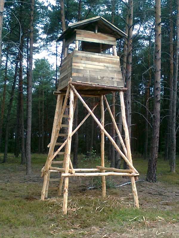 Zdjęcie0366