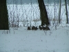 pict0330