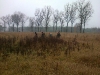 img-20131123-00069