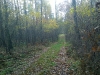 wp_20141108_09_51_47_pro
