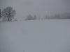 polowanie-noworoczne-24