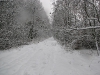polowanie-noworoczne-27