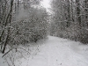 polowanie-noworoczne-28