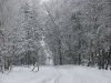polowanie-noworoczne-33